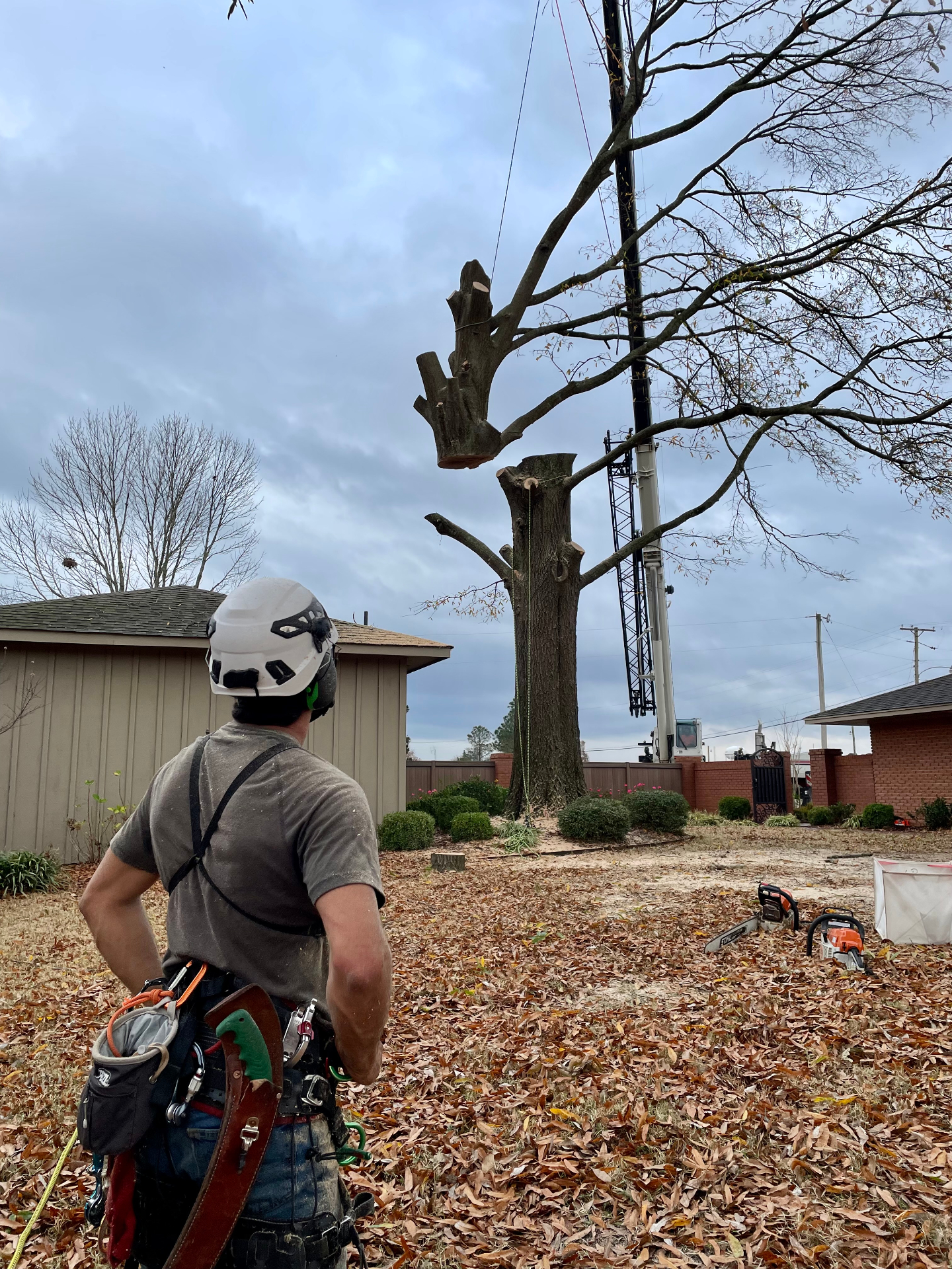 Chris Melvin, Founder and CEO of Ascend Tree Care, on a job site