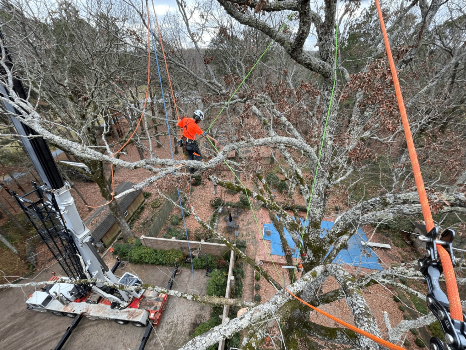 Crane assisted tree removal in Arkansas with two climbers setting rigging and cutting