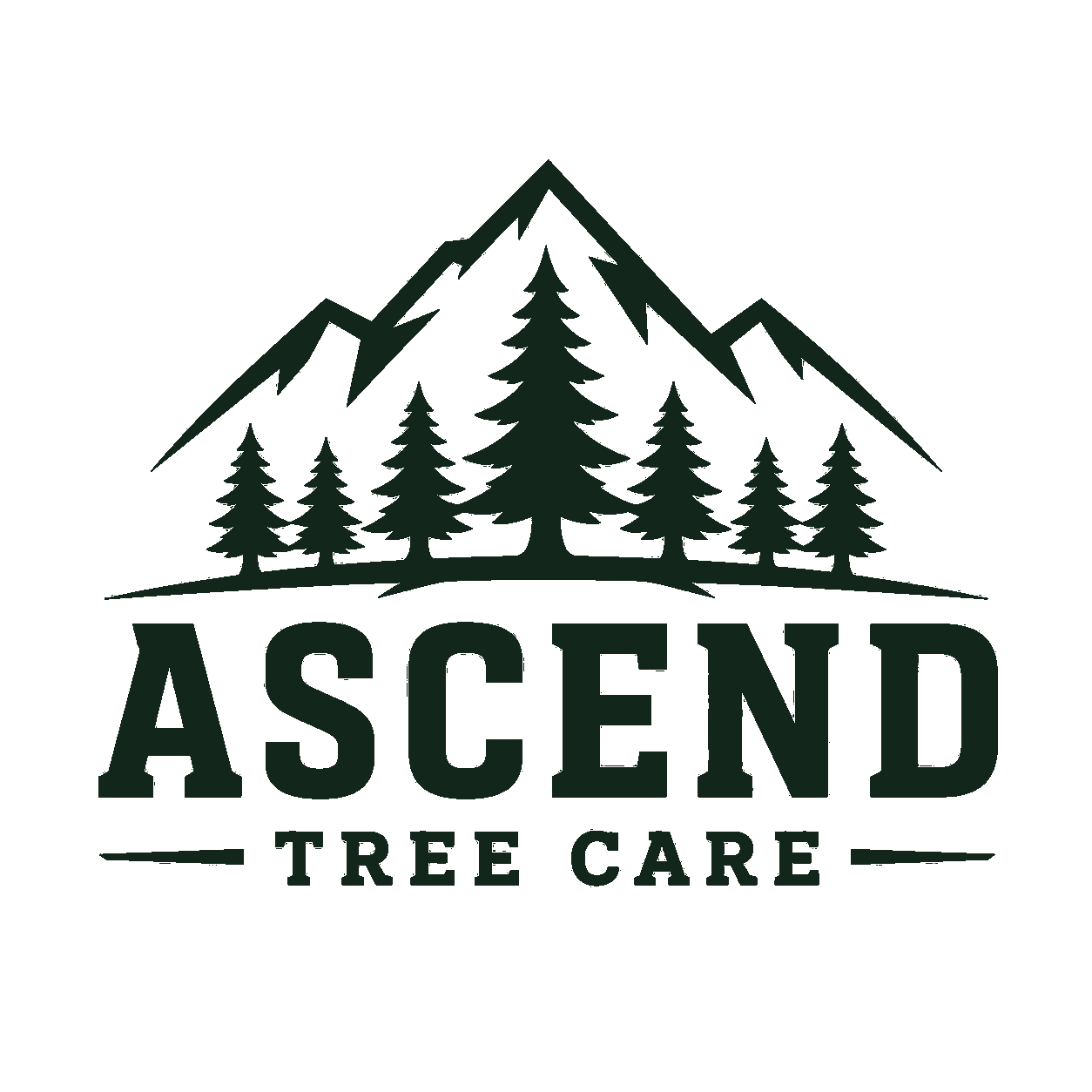Ascend Tree Care
